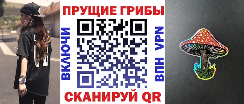 Галлюциногенные грибы мицелий  mega зеркало  Оренбург 